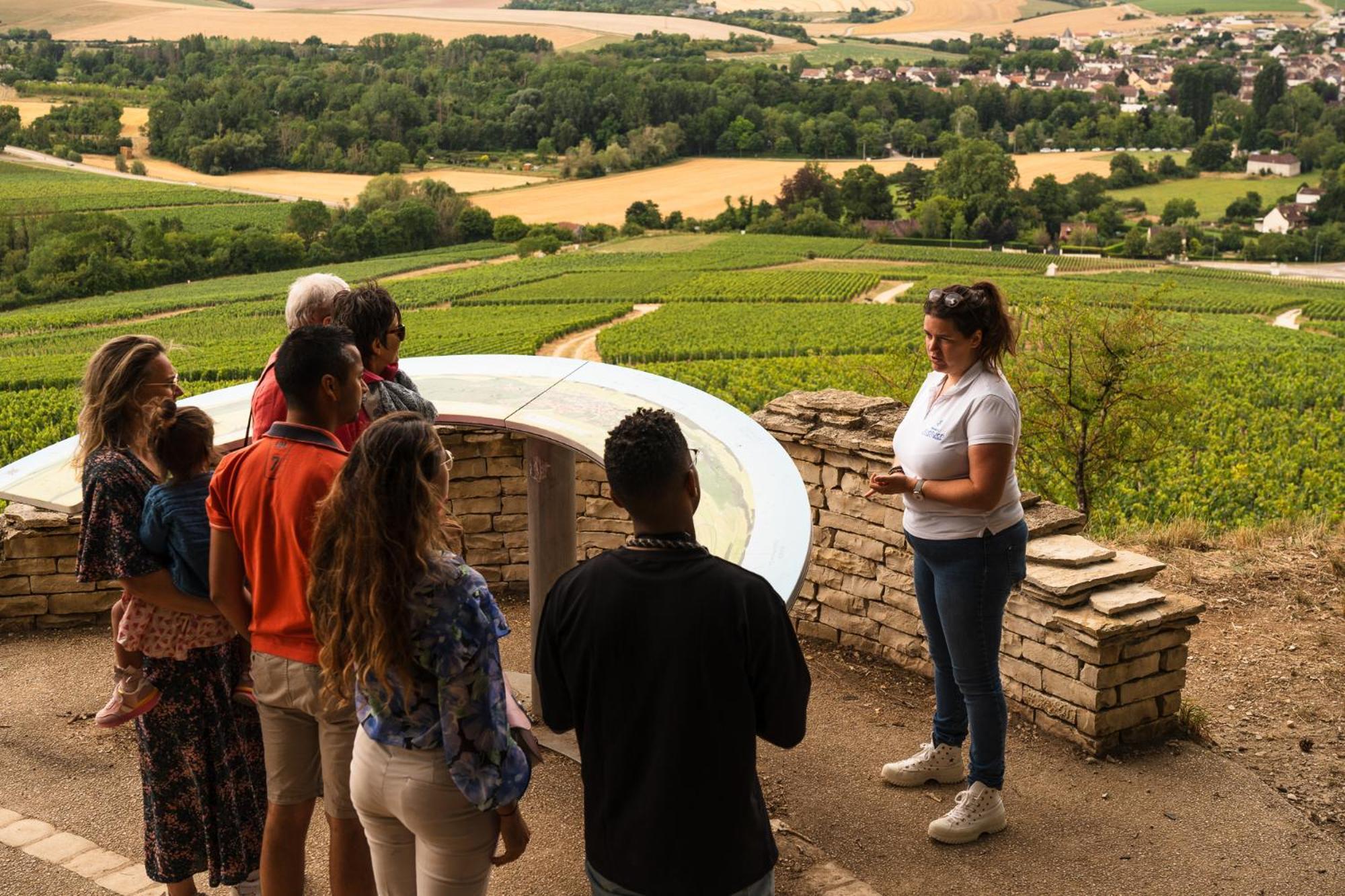 Appartements Domaine Gueguen Chablis Eksteriør bilde